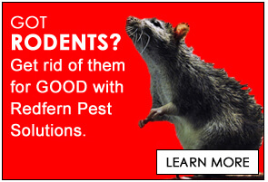 Redfern Pest Solutions wildlife services icon